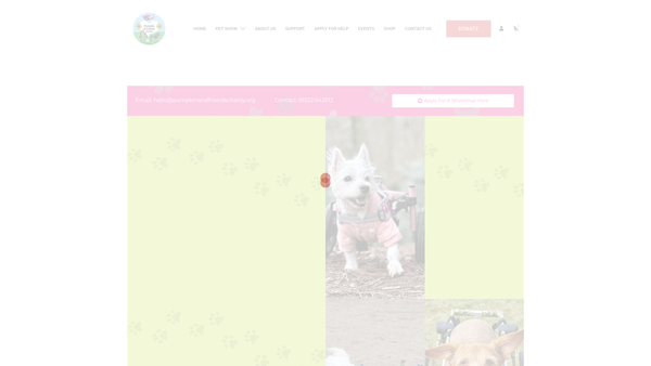 Screenshot of the Pumpkin And Friends Charity website