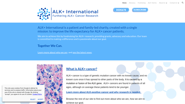 Screenshot of the Alk+ International website