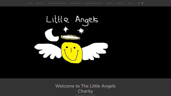 Screenshot of the The Little Angelman Trust website
