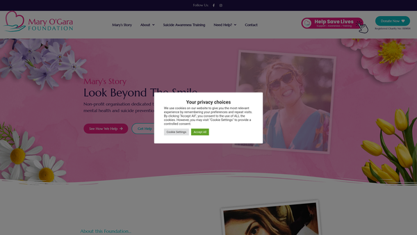 Screenshot of the The Mary O'gara Foundation website