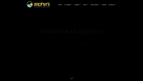 Screenshot of the Zephyr's website