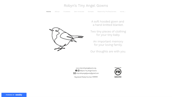 Screenshot of the Robyn's Tiny Angel Gowns website