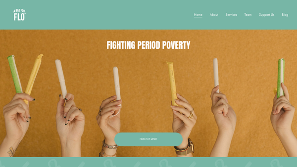 Screenshot of the A Bag For Flo website