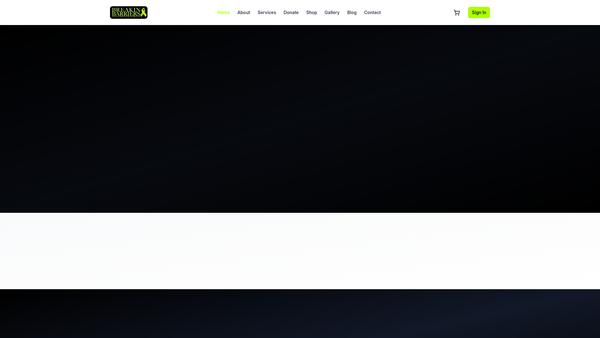 Screenshot of the Breakin Barriers website