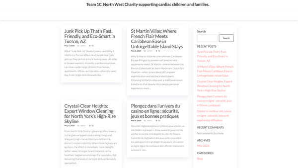 Screenshot of the Team 1c website