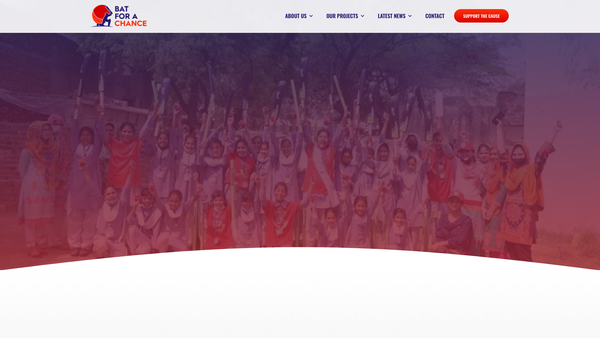 Screenshot of the Bat For A Chance website