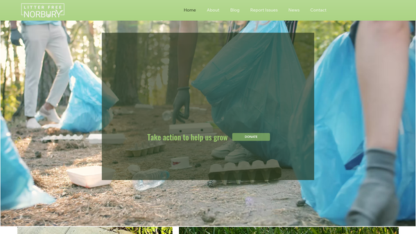 Screenshot of the Litter Free Norbury website