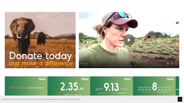 Screenshot of the Tofauti Foundation website