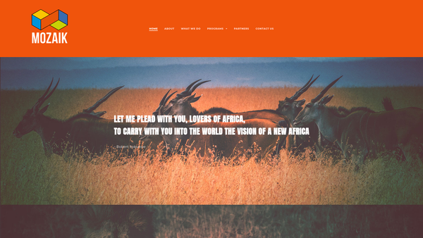 Screenshot of the Mozaik website