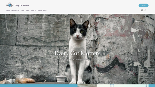 Screenshot of the Every Cat Matters website