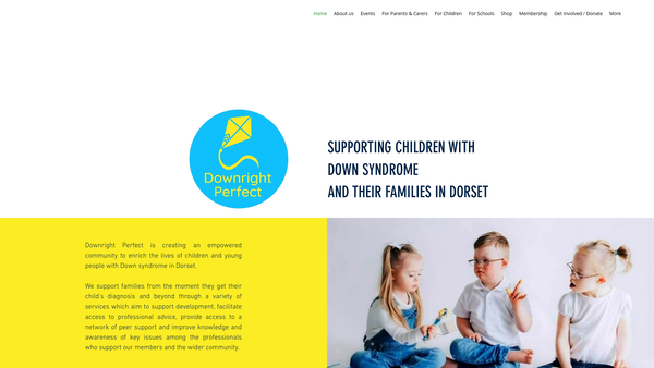 Screenshot of the Downright Perfect website