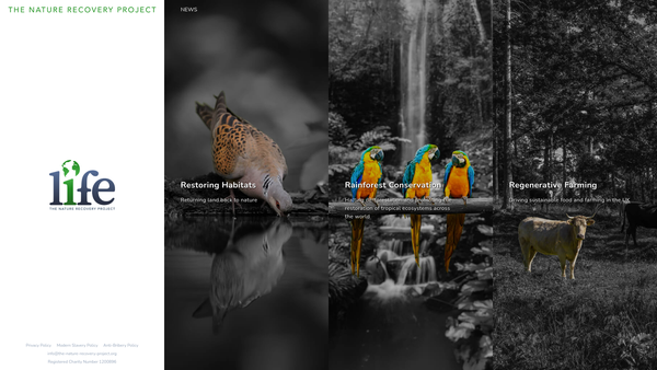 Screenshot of the The Nature Recovery Project website