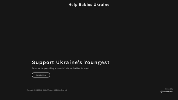 Screenshot of the Help Babies Ukraine website