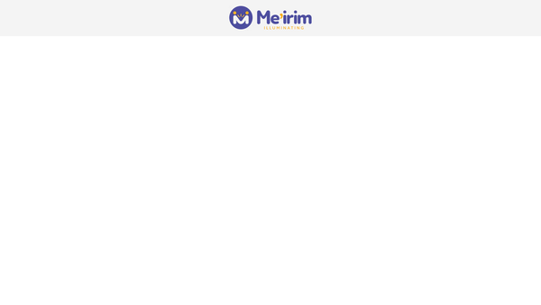 Screenshot of the Meirim Illuminating Ltd website