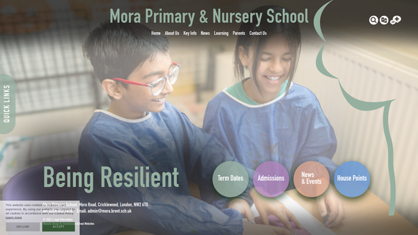 Screenshot of the Friends Of Mora Association website
