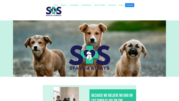 Screenshot of the Spays4strays website