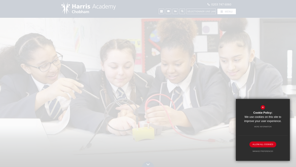 Screenshot of the Chobham Friends website