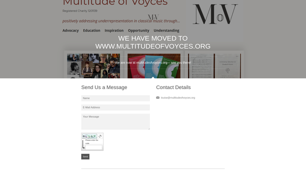 Screenshot of the Multitude Of Voyces website
