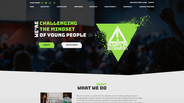 Screenshot of the Always An Alternative CIO website