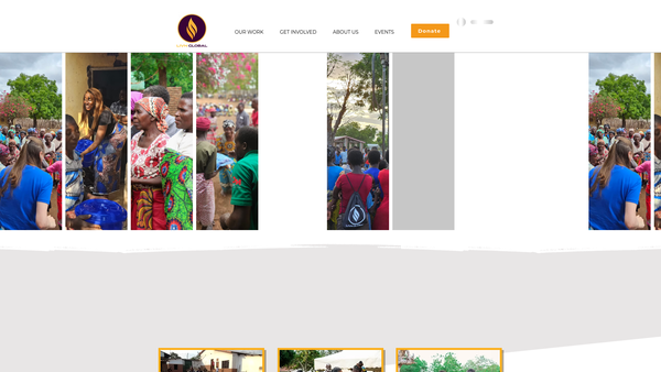 Screenshot of the Livn Global website