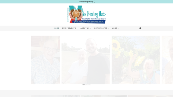 Screenshot of the The Healing Hubs website
