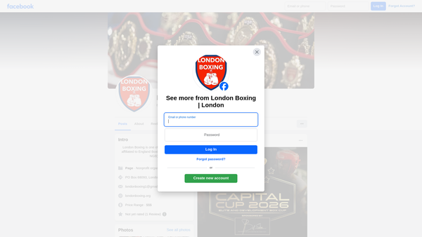 Screenshot of the London Boxing Ltd website