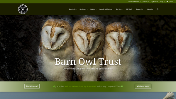 Screenshot of the Barn Owl Trust website