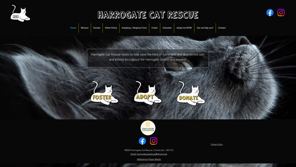 Screenshot of the Harrogate Cat Rescue website