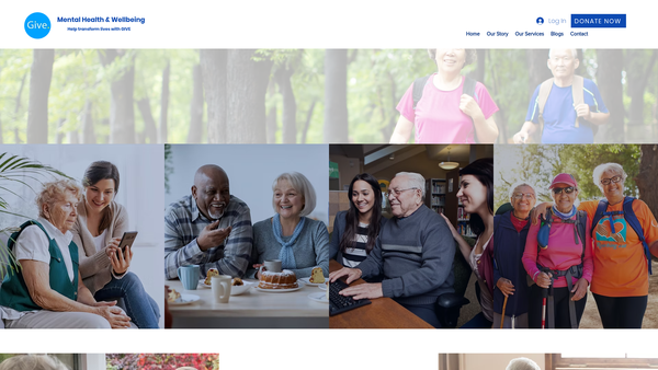 Screenshot of the Give website