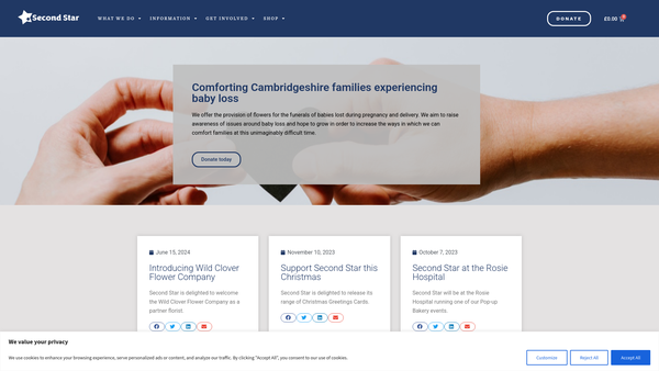 Screenshot of the Second Star website