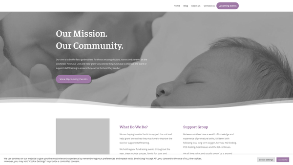 Screenshot of the Wish Upon A Fairy website