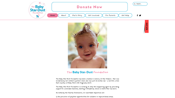 Screenshot of the The Baby Star-Dust Foundation website