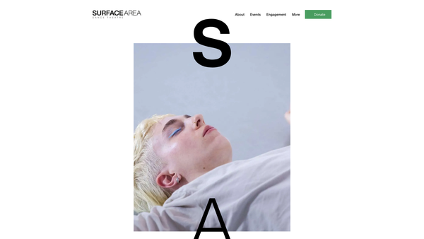 Screenshot of the Surface Area Dance Theatre website
