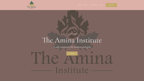 Screenshot of the The Amina Trust website