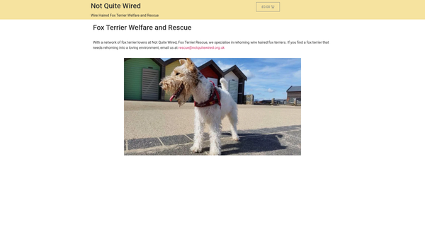 Screenshot of the Not Quite Wired website