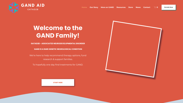 Screenshot of the Gand Aid UK website