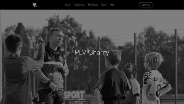 Screenshot of the Pro Level Vision website