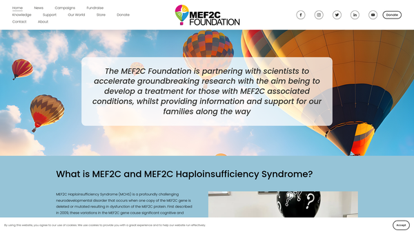 Screenshot of the Mef2c Foundation website