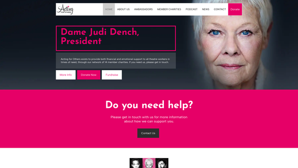 Screenshot of the Acting For Others website