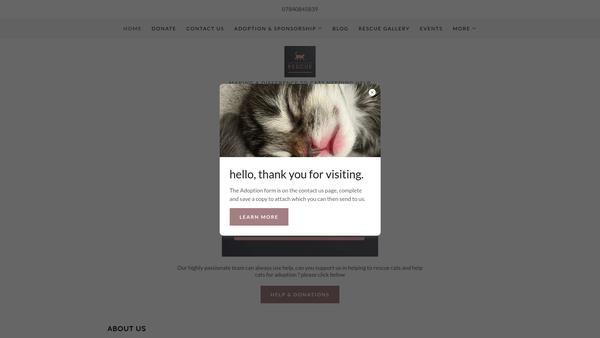 Screenshot of the Clent View Cat & Kitten Rescue website