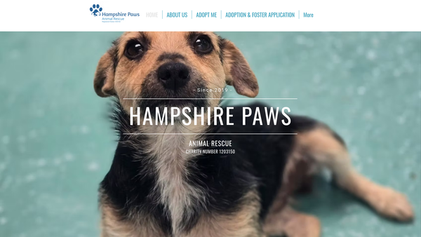 Screenshot of the Hampshire Paws Animal Rescue website