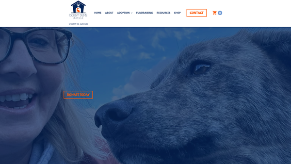 Screenshot of the Doggy Dens UK Rescue website