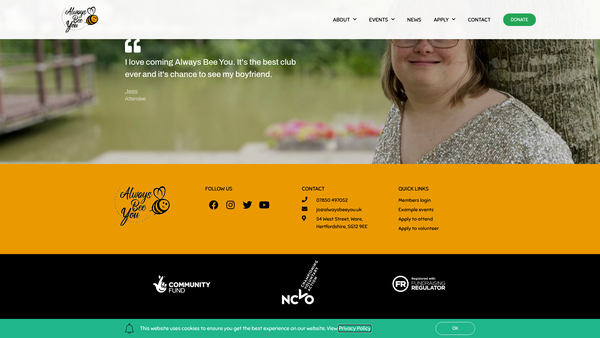 Screenshot of the Always Bee You CIO website