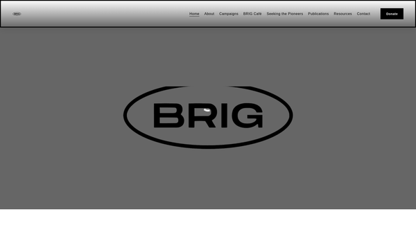 Screenshot of the Birmingham Race Impact Group website