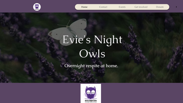 Screenshot of the Evie's Night Owls website