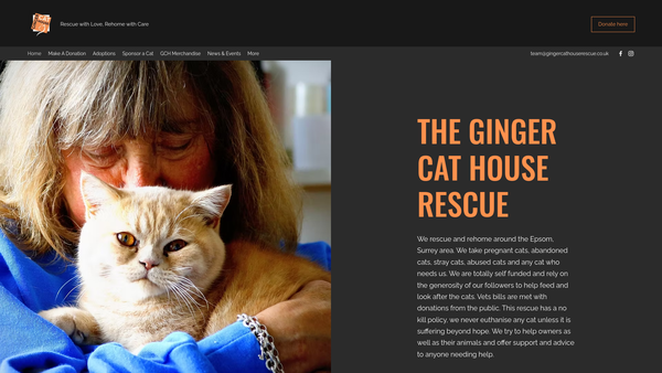 Screenshot of the The Ginger Cat House Rescue website