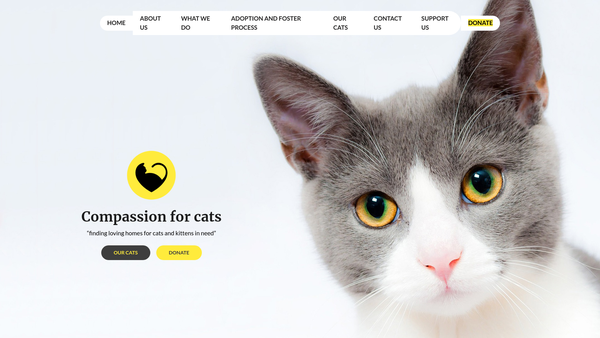 Screenshot of the Compassion For Cats, Oakhill CIO website