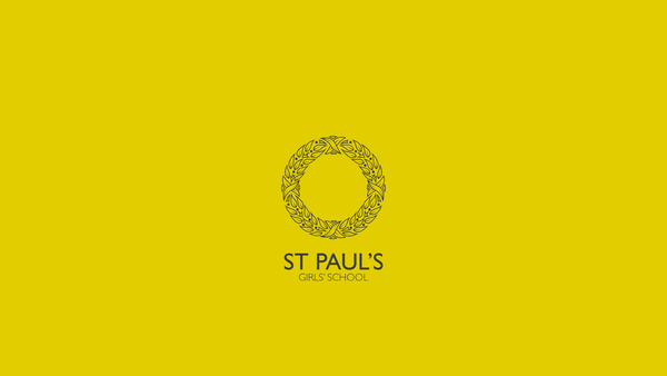 Screenshot of the The Paulina Foundation website