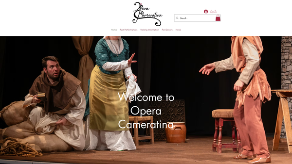 Screenshot of the Cameratina Ltd website