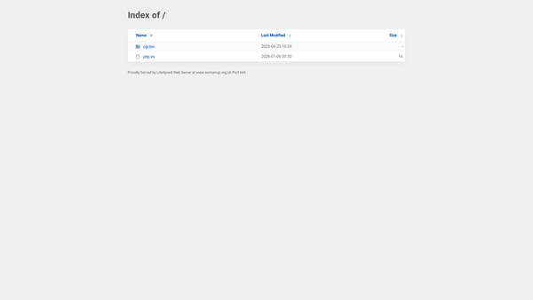 Screenshot of the Woman Up website